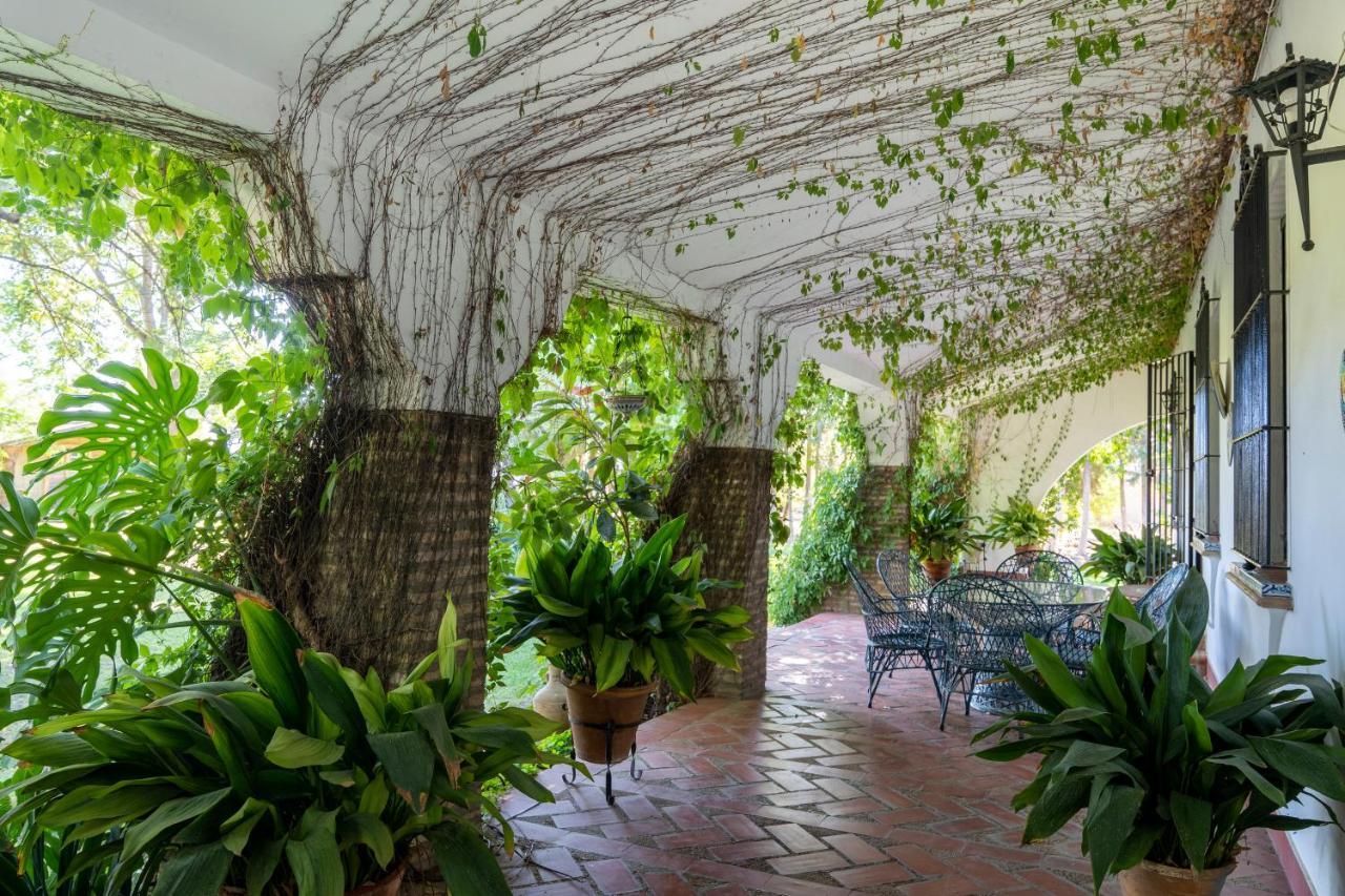 El jardín del botánico Villa Hinojos Exterior foto